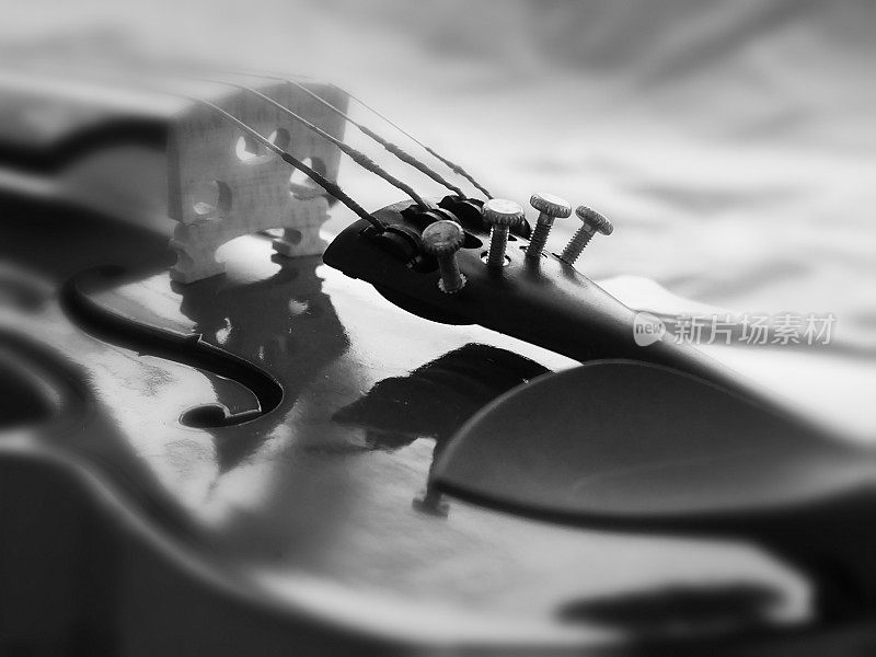 小提琴正面的Fine Tuner选择性聚焦，古典小提琴的部分，黑白的音调，周围模糊的光